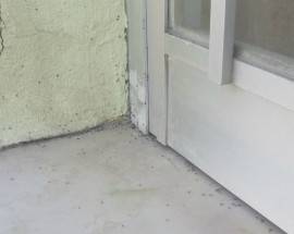 L’AQUILA: FORMICHE INVADONO ALLOGGI ATER  DI MONTICCHIO, ”AIUTATECI”