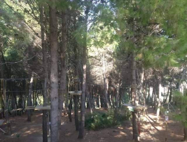 MARTINSICURO: CORSO EDUCATORE AMBIENTALE ALL’OASI WWF FOSSO GIARDINO