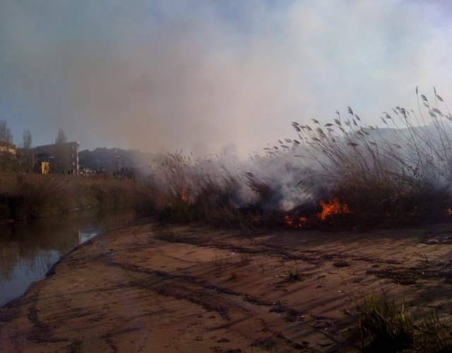 FRANCAVILLA: INCENDIO DOLOSO ALLA FOCE DEL FIUME ALENTO