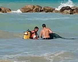 FRATELLINI MORTI IN MARE: DE MARTINIS, ”ADDOLORATO DA TERRIBILE TRAGEDIA”
