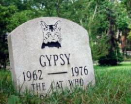 L’AQUILA: NASCE SERVIZIO FUNEBRE PER CANI E GATTI, TAFFO ”E ORA CHIEDEREMO UNO SPAZIO AL CIMITERO”