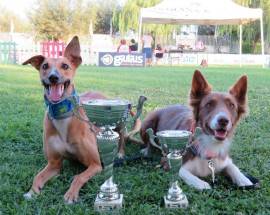 TROFEO RALLY OBEDIENCE: L’AQUILA SUL PODIO CON IL CENTRO CINOFILO GRAN SASSO