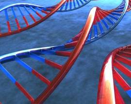 IN ABRUZZO TEST GENETICI PER I MAESTRI DI SCI PER ANALIZZARE PREDISPOSIZIONE MALATTIE