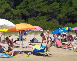PINETO: TURISTA PROTESTA, ”GESTIONE SICUREZZA DISASTROSA”