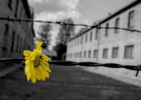 GIORNATA DELLA MEMORIA: LE INIZIATIVE IN PROGRAMMA AD ATRI