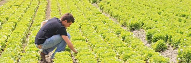 COVID: COLDIRETTI, ”CON FASE 2 VIA LIBERA A 1,2 MILIONI DI ORTI”