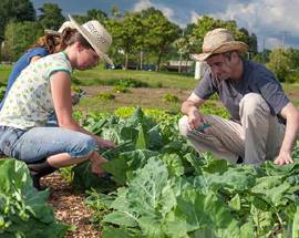COOPERATIVE E SETTORE AGRICOLO: FOCUS A L’AQUILA ALLO SPORTELLO LAVORO