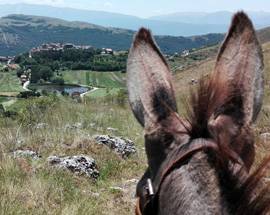 UNA MONTAGNA DI RACCONTI: SABATO A SANTO STEFANO DI SESSANIO ESCURSIONE E LEGGENDE … A PASSO D’ASINO