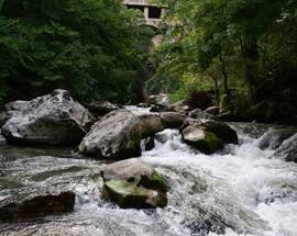 PARCO SIRENTE: STOP DOPO ESPOSTO A TAGLIO ALBERI IN GOLA SAN VENANZIO
