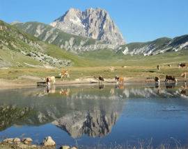 FESTA DELLA MONTAGNA: D’ANGELO, ”L’AQUILA CAPITALE DEGLI APPENNINI”
