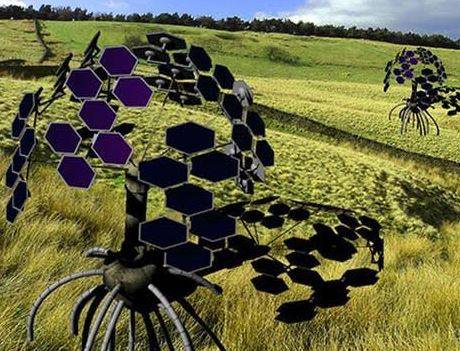 ROBOT CHE CRESCONO AUTONOMAMENTECOME PIANTE:AL GSSI DELL’AQUILA CONFERENZA CON BARBARA MAZZOLAI