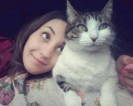 CONVIVENZA CON IL GATTO, PARLA L’ESPERTA AQUILANA ”E’ LUI CHE SCEGLIE CHI PUO’ ENTRARE NELLA SUA VITA”