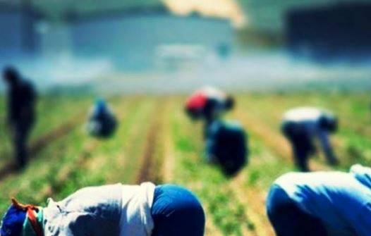 AVEZZANO: FALSI VISTI E IMMIGRAZIONE CLANDESTINA, 100 ANNI DI CONDANNE
