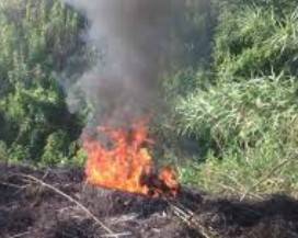 COMUNE L’AQUILA: FIRMATA ORDINANZA PREVENZIONE INCENDI E IGIENE URBANA
