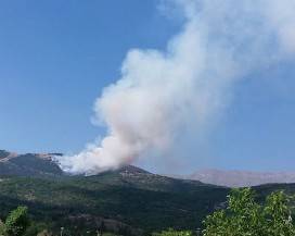 INCENDI: L’AQUILA, BRUCIA ANCORA BOSCO DI ARAGNO E SI IPOTIZZA IL DOLO