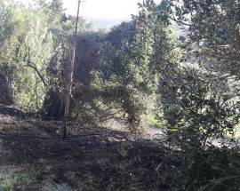 ATESSA: DOMATO INCENDIO ALL’INTERNO DELLA PISTA CICLABILE