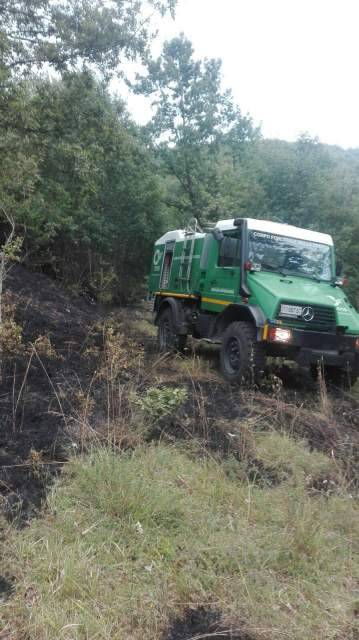INCENDIO DIVORA BOSCO A CAGNANO, IN FUMO 5MILA METRI QUADRATI