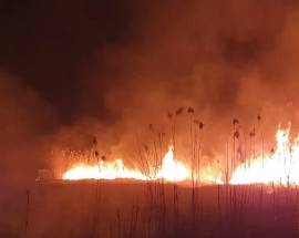 DOMATO L’INCENDIO NELLA VALLE DEL TIRINO, NON ESCLUSO DOLO