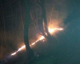 BOLOGNANO: DOPO DUE GIORNI DOMATO IL PAUROSO INCENDIO