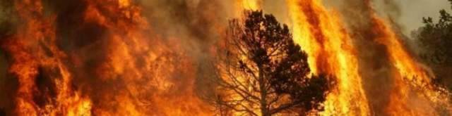 L’ABRUZZO SI PREPARA A STAGIONE INCENDI: OLTRE UN MILIONE E UN NUOVO ELICOTTERO