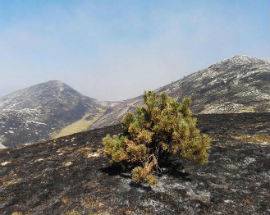 INCENDIO MORRONE: CHIUDONO I COC, SINDACI SI COORDINANO PER AZIONI COMUNI
