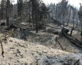 INCENDIO MORRONE, SQUADRE DA TERRA E MEZZI AEREI PROSEGUONO OPERAZIONI
