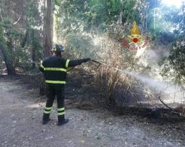 PESCARA: INCENDIO ALLA PINETA DANNUNZIANA, INTERVENTO VIGILI DEL FUOCO