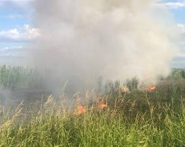 INCENDIO MINACCIA A14: ROGO DIVAMPATO DA EX PROVINCIALE TRIGNINA