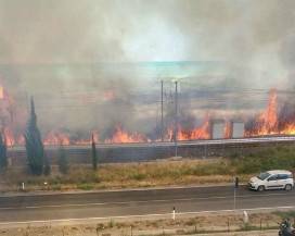 INCENDI: FIAMME SUI BINARI A SCERNE DI PINETO, STOP AI TRENI