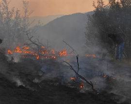 INCENDI: CISL, ”GESTIONE FUORI CONTROLLO, DA REGIONE SCARSA ATTENZIONE”