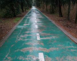 SAN SALVO: PD DENUNCIA DEGRADO PISTA CICLABILE, ”AMMINISTRAZIONE DOV’E’?’