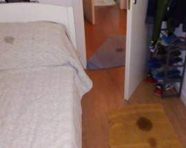 L’AQUILA: ”PIOVE NELLA CAMERA DEI BIMBI” AL PROGETTO C.A.S.E. DI COPPITO, L’APPELLO DEL PAPA’