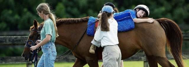 GLI ANIMALI CHE AIUTANO A GUARIRE LE PERSONE: PRIMI PASSI IN ABRUZZO