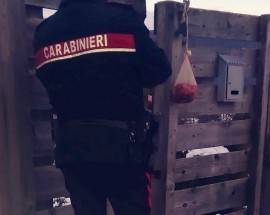 L’AQUILA: ORGANI DI ANIMALE IN UNA BUSTA, ”INTIMIDAZIONE A ESPONENTE DI SI”