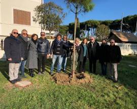 PINETO: ITALIA VIVA DONA TRE PINI AL COMUNE