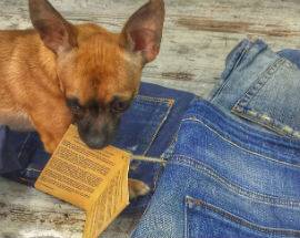 L’ABRUZZESE DON THE FULLER INVENTA IL PRIMO JEANS VEGANO