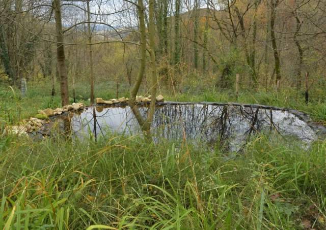 PARCO GRAN SASSO, VIVE NEL BOSCO E FA STAGNO PER SALAMANDRE, RAFFICA DENUNCE