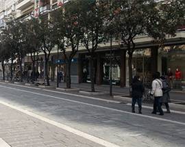 PESCARA: RIMOZIONE LECCI SECCHI E PERICOLOSI IN VIA CHIETI