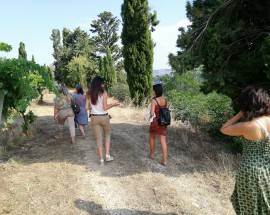 LE DONNE DEL VINO D’ABRUZZO: CRESCE LA RETE CON LE TAPPE DELL’ENOTOUR