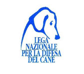 CANE TROVATO MORTO A ORSOGNA: PRESENTATA UNA DENUNCIA CONTRO IL PROPRIETARIO