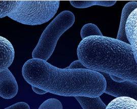 ECCO IL SOFTWARE ANTI LEGIONELLA, SISTEMA DI CONTROLLO MADE IN ABRUZZO