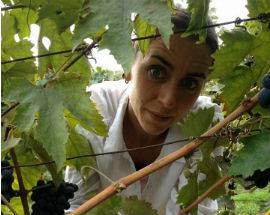 LA GELATA NON FERMA I VITICOLTORI PELIGNI, LORENZA, ”NON MOLLO, LA VIGNA E’ LA MIA VITA”