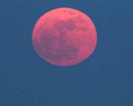 PARI OPPORTUNITA’: AVIAZIONE PER DONNE, SPAZIO AL ‘CIELO IN ROSA’