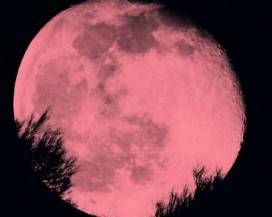 LUNA TINTA DI ROSSO DA’ IL VIA ALLE FESTIVITA’ PASQUALI: ABRUZZO CON IL NASO ALL’INSU’
