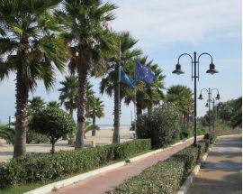 BIMBO SFUGGE ALLE AVANCES DI UN UOMO A GIULIANOVA