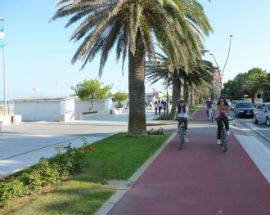 ROSETO DEGLI ABRUZZI: 48 MILA EURO IN 2 ANNI PER TRATTARE PALME SU LUNGOMARE