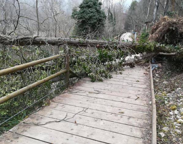 MALTEMPO: VENTO FORTE ALL’AQUILA, INTERVENTI COMUNE RIPRISTINANO VIABILITA’