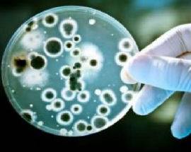 SANITA’: GESTIONE INFEZIONI A CASA, ANCHE L’AQUILA NEL PROTOCOLLO