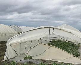 MALTEMPO: COLDIRETTI, GIUGNO FOLLE TRA GRANDINATE, TEMPORALI E VENTO