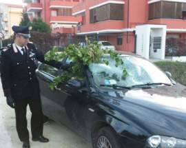 MALTEMPO: VENTO FLAGELLA L’ABRUZZO, BLACK OUT E A24 CHIUSA AI TELONATI
